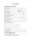 Ficha de anamnesis