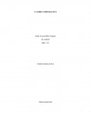 CUADRO COMPARATIVO Salud ocupacional