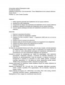 Metabolismo de los cuerpos cetónicos