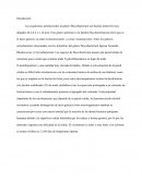 Mycobacterium tuberculosis. Mecanismo de transmisión