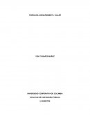 TEORÍA DEL ASEGURAMIENTO- TALLER