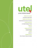 Tarea 2 Competencias gerenciales