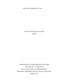 PROGRAMA ADMINISTRACIÓN EN SALUD OCUPACIONAL. PLANEACION ESRATEGICA