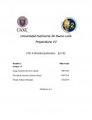 PIA Interdisciplinario (LCE)