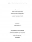 ORGANIZACIÓN DENTRO DEL PROCESO ADMINISTRATIVO