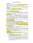 RESUMEN DEL HECHO ILÍCITO INTERNACIONAL