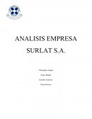 ANALISIS EMPRESA SURLAT S.A.