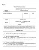 Departamento de Ingeniería Industrial. Reporte de Práctica de Laboratorio