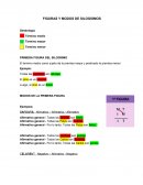 FIGURAS Y MODOS DE SILOGISMOS