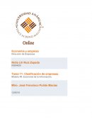 Tarea 11: Clasificación de empresas. Módulo #5: Economía de la información