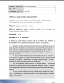 MATRIZ DAFO PRACTICA 2