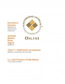 Clasificación de empresas Módulo 4: Estructura de mercado Century21