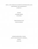 Accion psicosocial y salud. Formulacion de una propuesta de intervencion desde la salud
