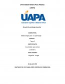 Ana miledy infotecnica