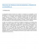 PROCESO DE PRODUCCION DE BIODIESEL ATRAVES DE LA HIGUERILLA
