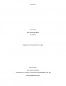 Actividad Contabilidad