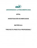 MATRÍCULA: “PROYECTO PRÁCTICA PROFESIONAL