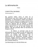 La deforestación - Ensayo