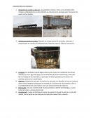 Proceso de matanza de vacuno