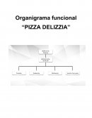 LOGISTICA PIZZA DELICIA