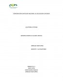 CONTADURIA PUBLICA JORNADA NOCTURNA