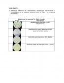 PRÁCTICA NO.1 BACTERIOLOGÍA MÉDICA.