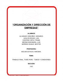 TRABAJO FINAL, TIGRE PERÚ - TUBOS Y CONEXIONES. Página 1