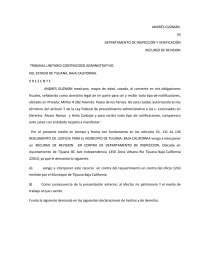 Ejemplo de un buen Recurso de revision. Página 1