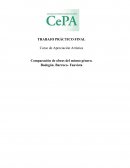 ANALISIS DE OBRA - BODEGÓN (Comparación de obras del mismo género)