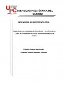 Desarrollo de una metodología de Electroforesis y de la Reacción en Cadena de la Polimerasa (PCR) en la Universidad Politécnica del Centro
