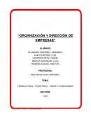 TRABAJO FINAL, TIGRE PERÚ - TUBOS Y CONEXIONES