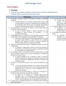 CASO: Bodegas Torres