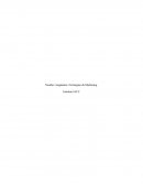 Foro semana 8 ¿Cuáles son las principales decisiones de producto que se consideran en el lanzamiento de una Bebida Energética?