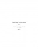 Tarea semana cuatro intro a procesos industriales