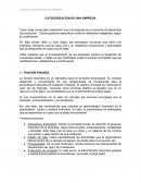 CATEGORIZACIÓN DE UNA EMPRESA