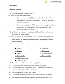 Taller practico Anatomía y fisiología. Página 1