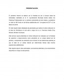 Reporte Prácticas Profesionales