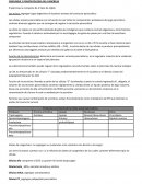 FISIOLOGIA Y FISIOPATOLOGIA DEL PANCREAS