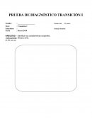 PRUEBA DE DIAGNÓSTICO TRANSICIÓN I