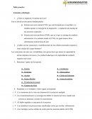 Taller practico Anatomía y fisiología