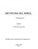 INFORME PARA LA ASIGNATURA DE MARKETING