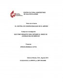EL CONTROL DE CONVENCIONALIDAD EN EL AMPARO
