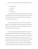 Dimensiones de la Antropología