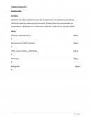 Foda “Casa Perramus”