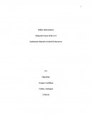 Delitos Informáticos. Tipos de delitos informáticos