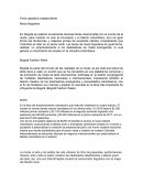 FERIAS DE MODA BOGOTANAS