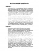 Errores de visualizacion