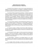 ORIENTACIONES PARA EL DESARROLLO DE PROYECTOS DIDÁCTICOS – PRODUCTIVOS