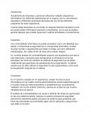 Ensayo de analisis de vulnerabilidades