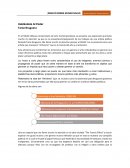 Ensayo Muac.Hablandole al Poder